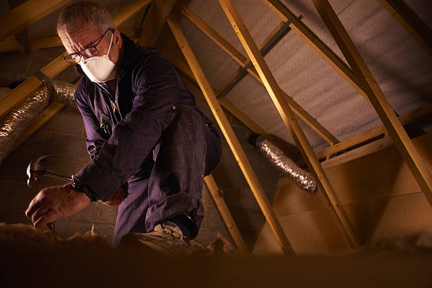 Best Specialized Insulation Services in West Belmar, NJ